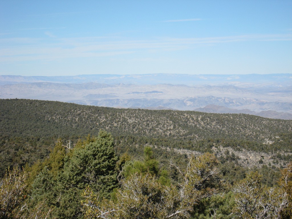 Las Vegas 2010 - Mt Charleston 0321.JPG - The 2010 Las Vegas Fire - Ice and Sweat Tour. Half Marathon, Red Rock Canyon, Casinos, Valley of Fire.... and buffets!